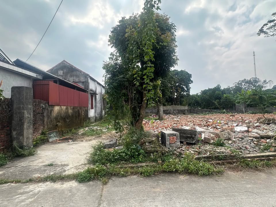 Đất liền kề Tân Khánh, Phú Bình 100m² giá 3xx triệu - Đường thông, ngõ thoáng!