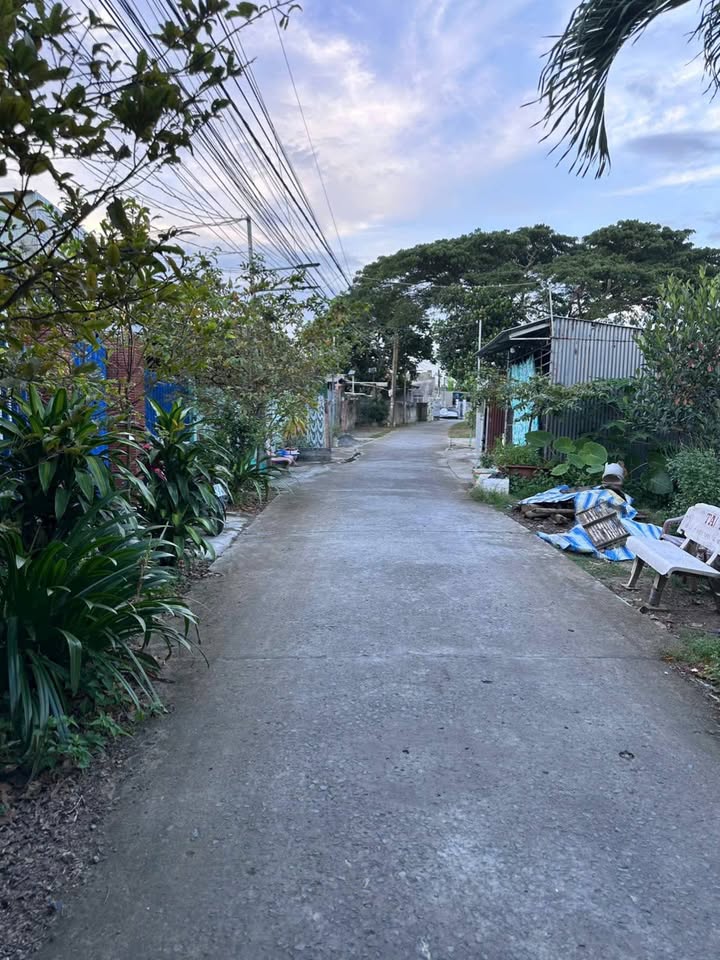 Nhà cấp 4 đường Phạm Văn Thưởng, Mỹ Trà 300m² giá 1.7 tỷ - Pháp lý rõ ràng, sẵn sàng ở ngay!