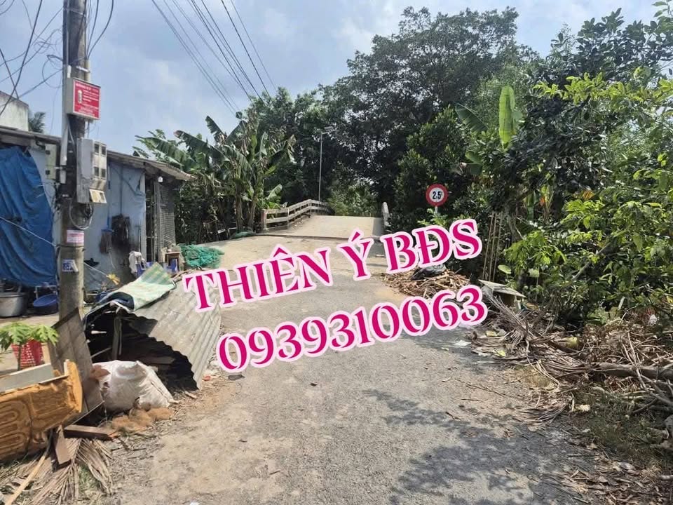 Đất nền Tân Nhuận Đông 248m² giá 280 triệu - Đầu tư sinh lời ngay!