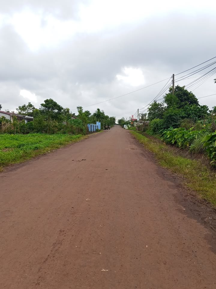 Đất nền mặt tiền Lý Chính Thắng, Buôn Hồ 300m² giá 400 triệu - Cơ hội đầu tư hiếm có!