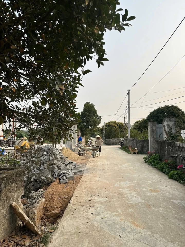 Đất nền xã Quỳnh Vinh, Hoàng Mai 150m² chỉ 500 triệu - Cơ hội đầu tư hấp dẫn!