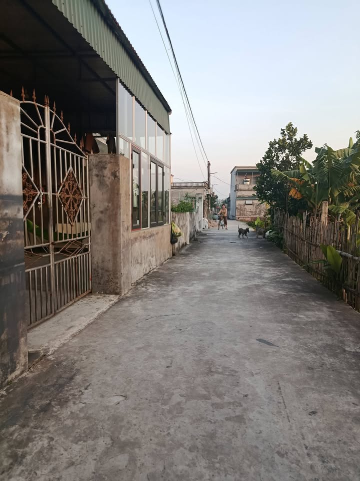 Đất nền Vũ Bình Kiến Xương 100m² giá 400 triệu - Đầu tư sinh lời ngay!