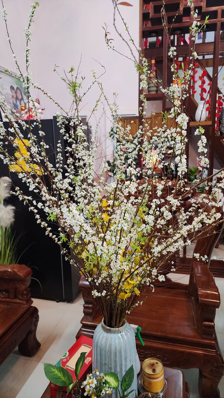 Đất thổ cư 420m² tại xã Đăk Rơ Wa, giá chỉ 500 triệu - Cơ hội đầu tư hấp dẫn!