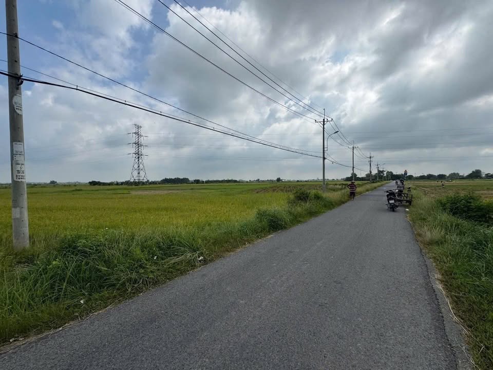 Đất mặt tiền Võ Văn Điều, xã Phước Thạnh, 1460m² giá 4.38 tỷ - Cơ hội đầu tư tuyệt vời!