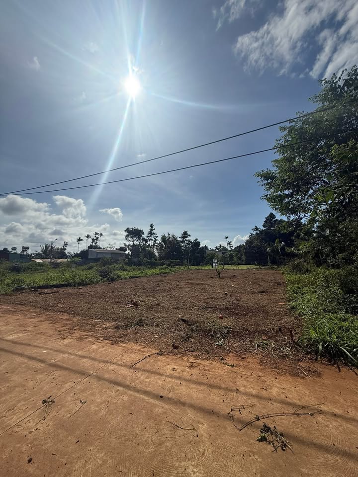 Đất liền kề Quốc lộ 26, Tân An 105m² giá 870 triệu - Hướng Đông mát mẻ!