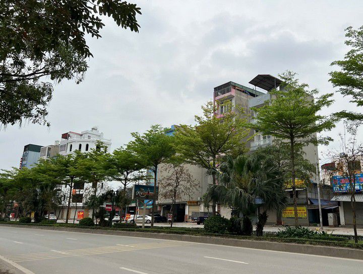 Đất dịch vụ Dương Nội 50m² giá thỏa thuận - Đầu tư sinh lời ổn định!