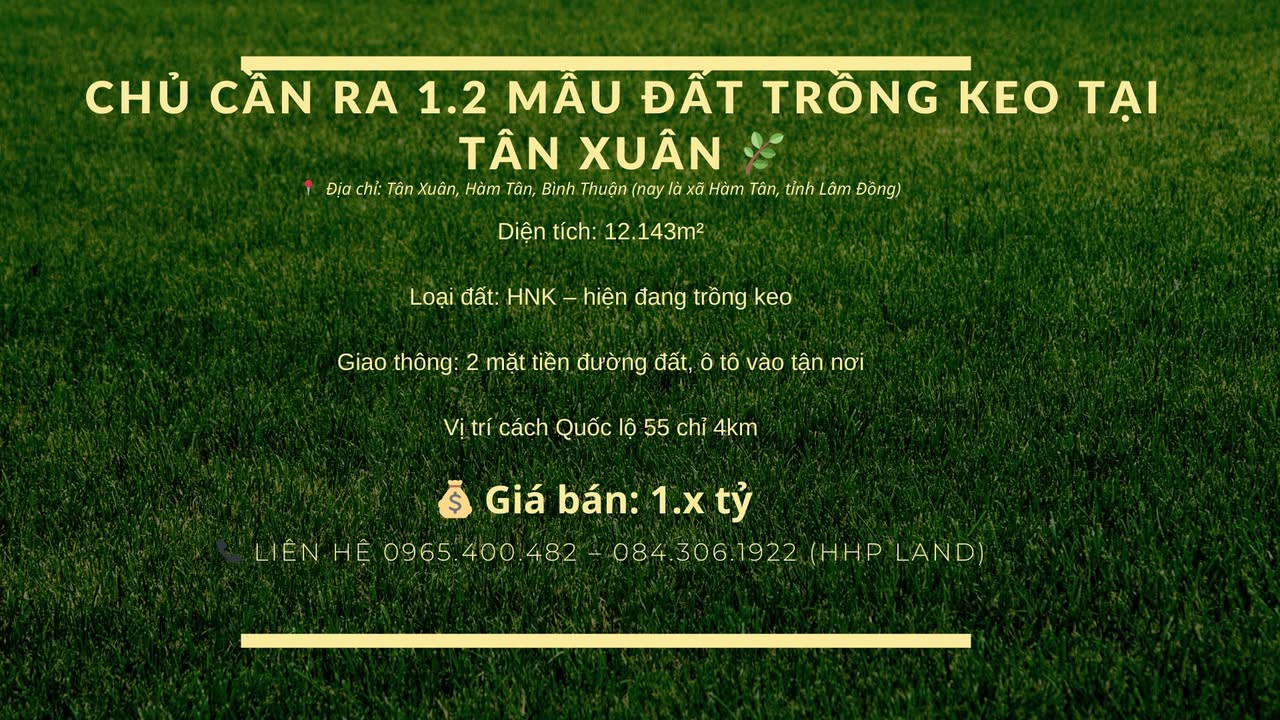 Đất nông nghiệp Tân Xuân 12.143m² giá 1 tỷ - Đầu tư sinh lời ngay!