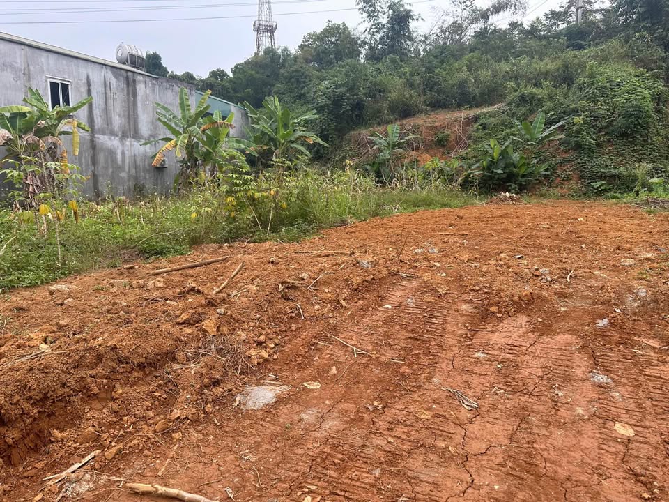 Đất nền An Tường, Tuyên Quang 144m² giá 1 tỷ - Chỉ cần đầu tư ngay!