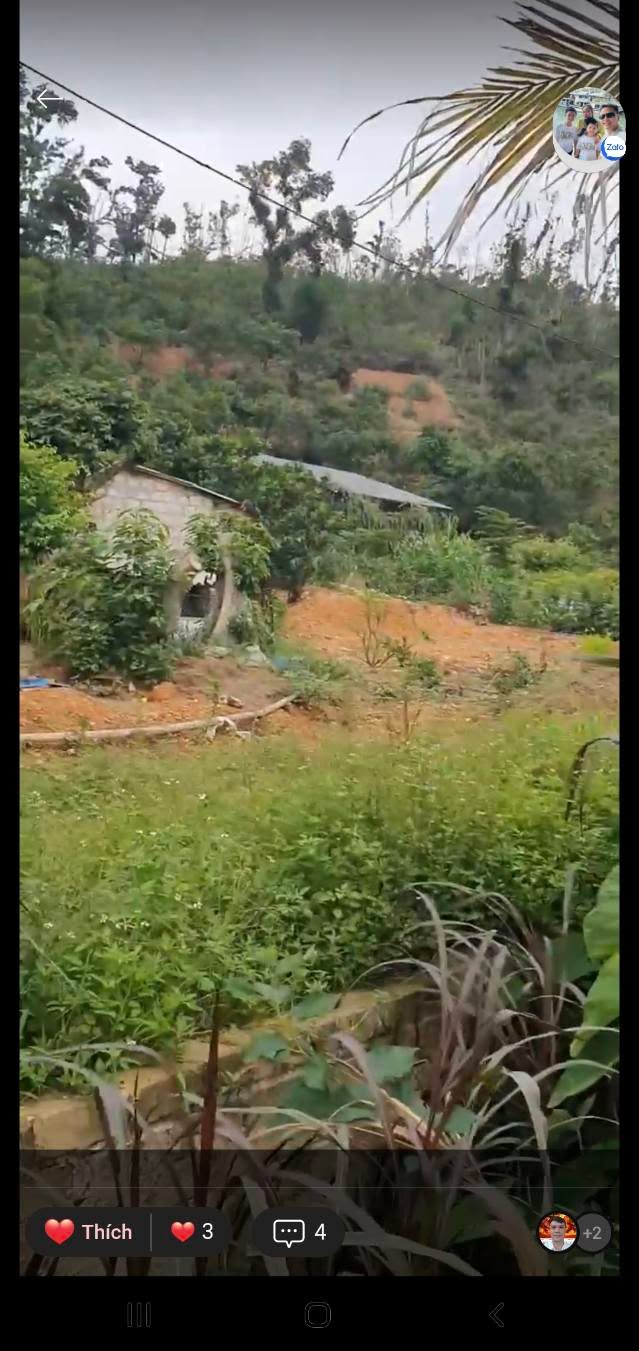 Đất nền An Lạc Chí Linh 1000m² giá 1.65 tỷ - Cơ hội đầu tư lý tưởng!