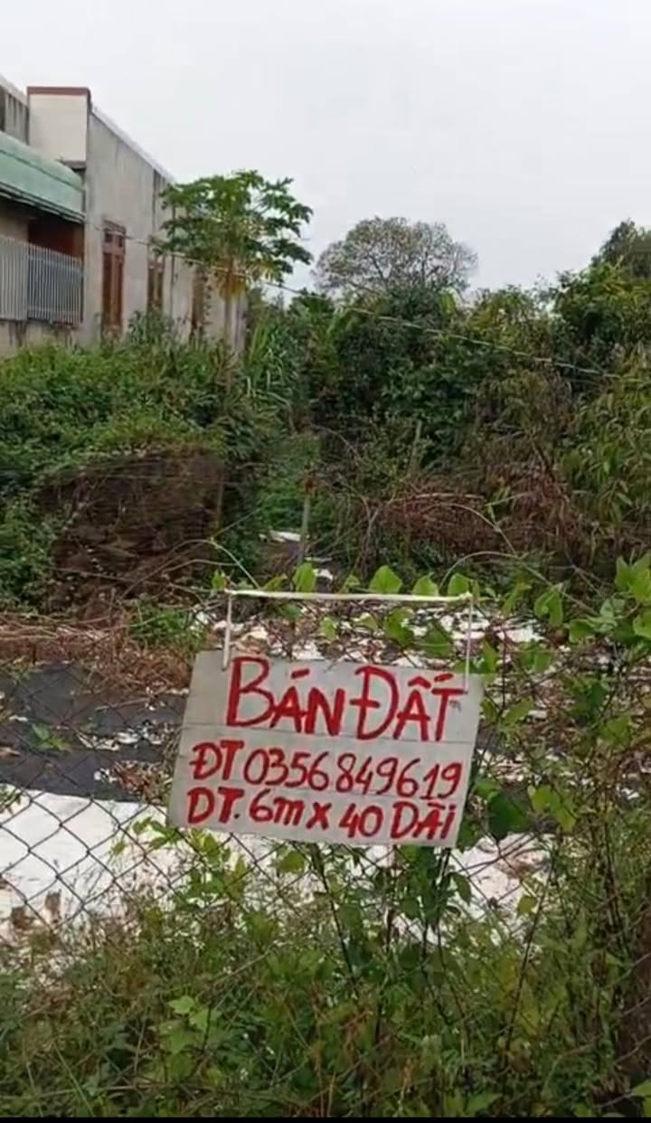 Đất nền Vĩnh An, Đồng Nai 240m² - Cơ hội đầu tư tuyệt vời!