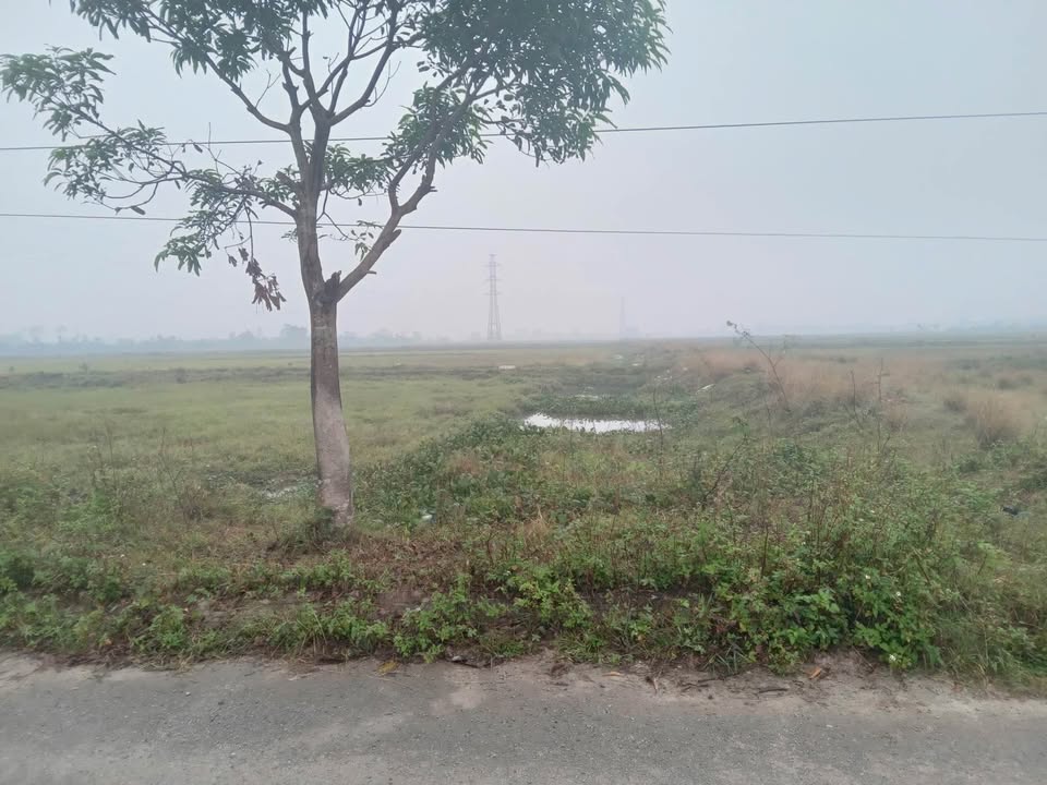 Đất nền đầu tư Tân Lâm Hương 274m² giá 3.4 tỷ - Đầy tiềm năng phát triển!