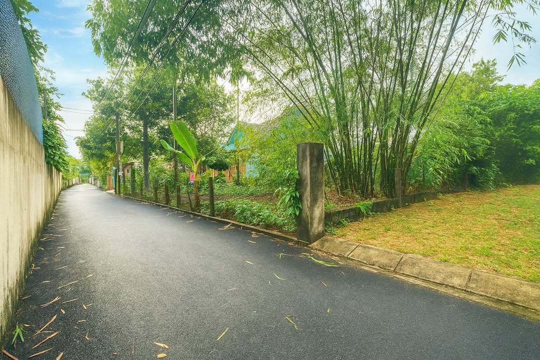 Lô đất hẻm 56 Trần Cẩm, Quảng Ngãi 141m² giá 1.6 tỷ - Đầu tư sinh lời tốt!