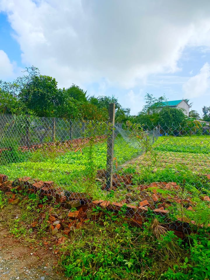 Đất tại Tịnh Khê Quảng Ngãi 140m² giá 600 triệu - Đường ô tô thông tứ hướng!