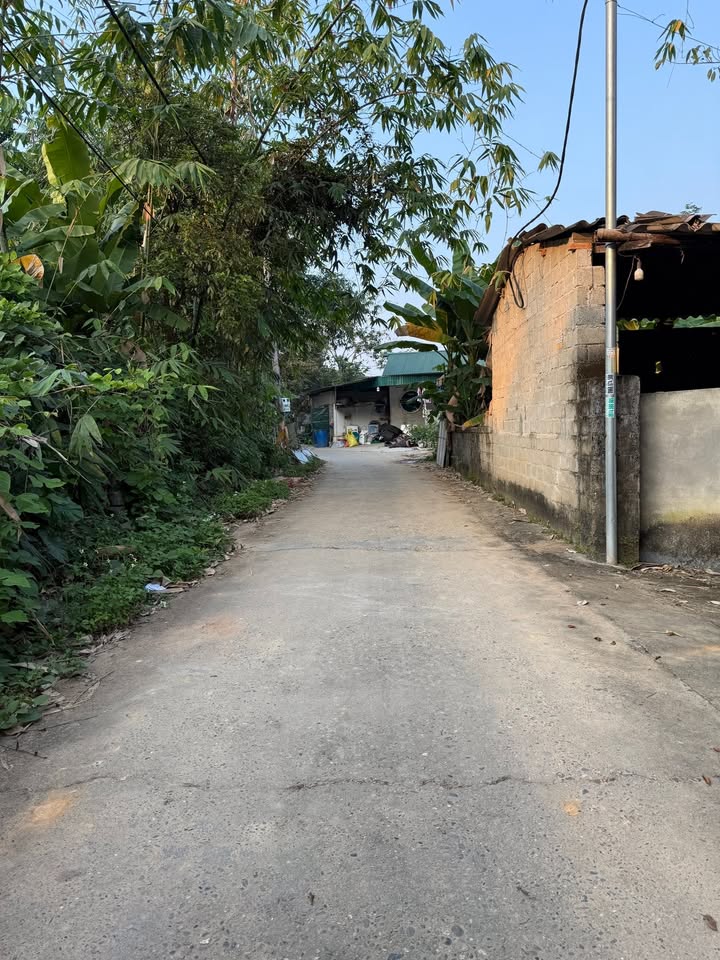 Đất nền Kim Phú Tuyên Quang 142.6m² giá 1 tỷ - Đường bê tông thông thoáng!