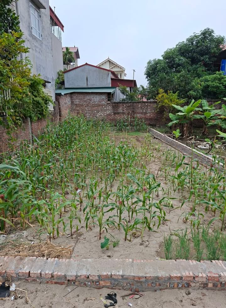 Đất An Bình Thuận Thành 100m² giá nhỉnh tỷ - Mặt tiền 7m cực hiếm!