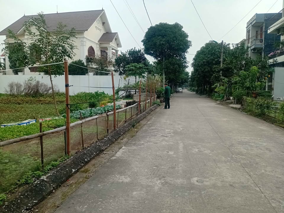 Đất phân lô Ninh Phúc, Hoa Lư 112m² giá 2 tỷ - Cơ hội đầu tư sinh lời!