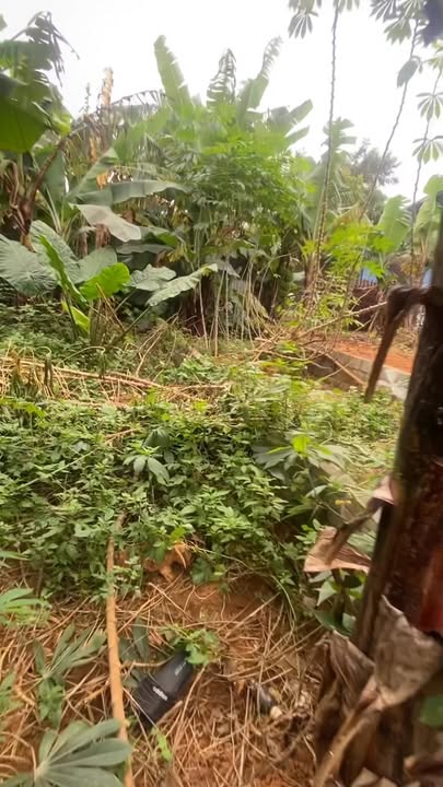 Đất nền Tổ 1 Tây Sơn, Tam Điệp, 75m² - Giá thỏa thuận, gần chợ và trường học!