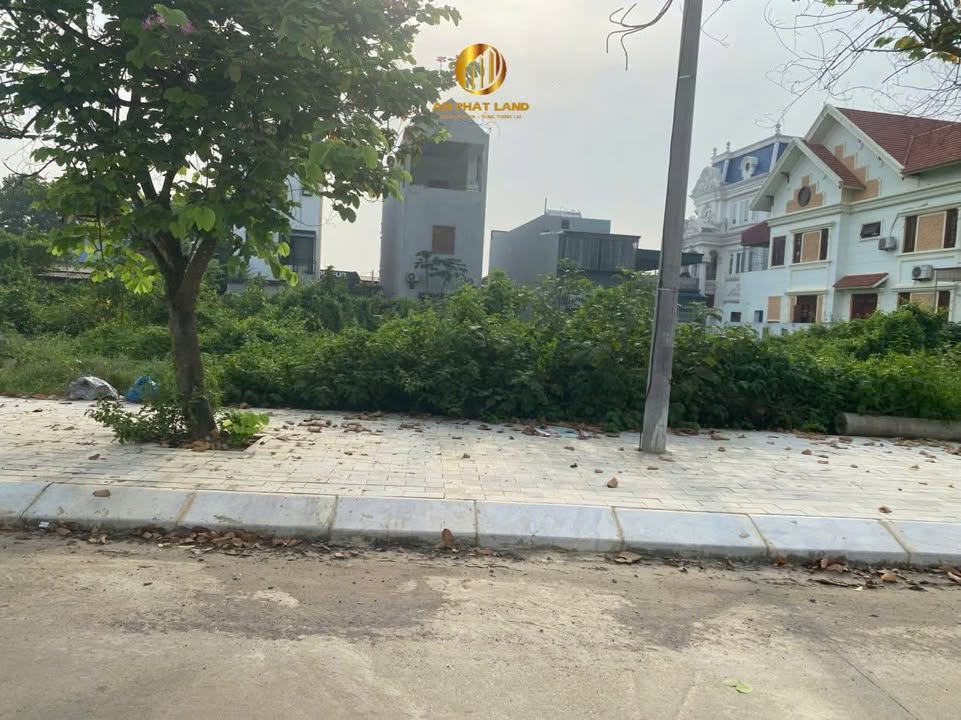 Đất nền đường Nguyễn Văn Hoan, Nho Quan 326m² giá 6 tỷ - Đầu tư sinh lời ngay!