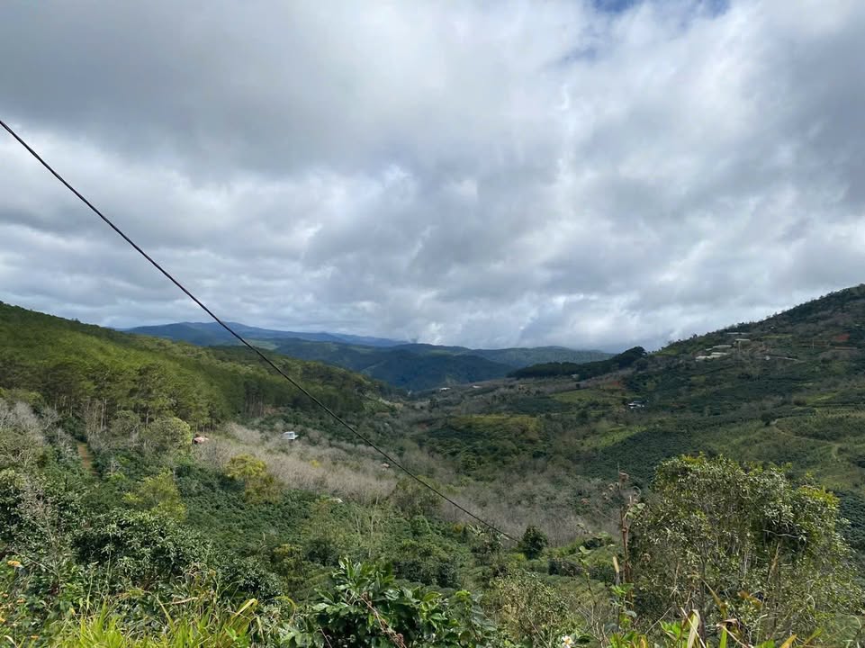 Đất xây dựng tại Xuân Trường, Đà Lạt 314m² giá 6 tỷ - Cơ hội đầu tư tuyệt vời!