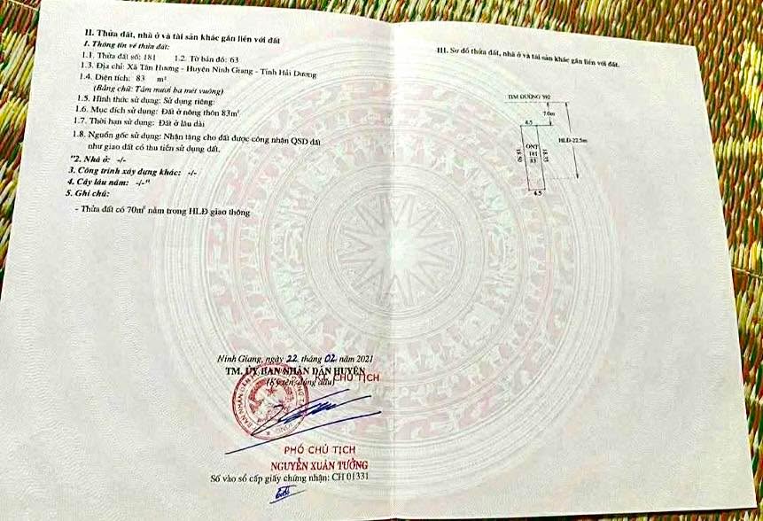 Đất nền Tân Hương, Ninh Giang 83m² giá 1 tỷ - Vị trí vàng cho kinh doanh!