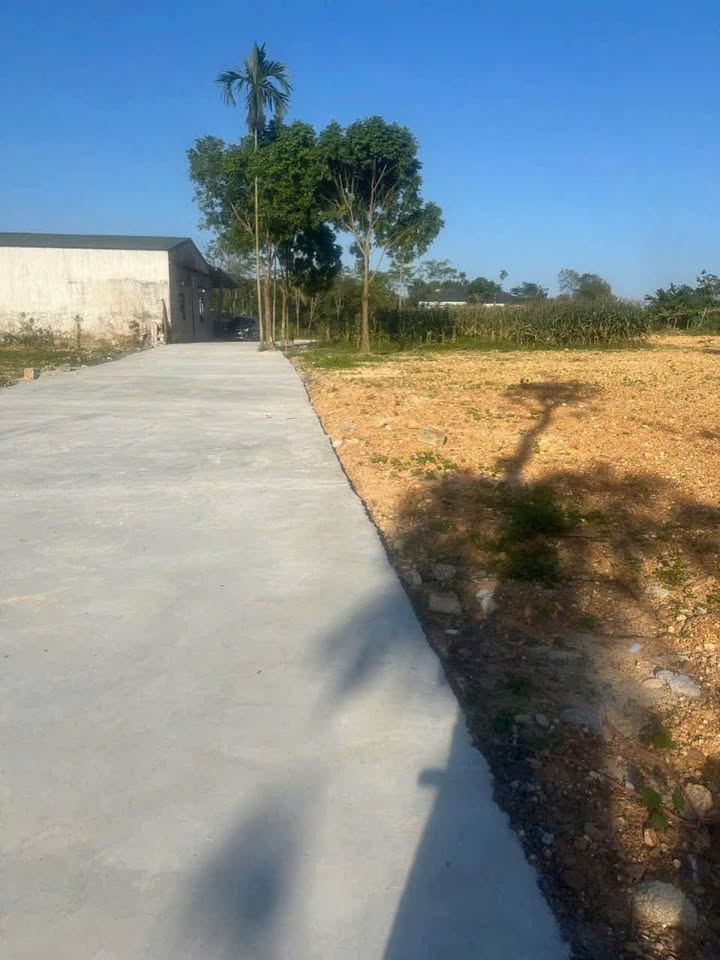 Đất nền Tân Cương Thái Nguyên 172m² giá 700 triệu - Cơ hội đầu tư hấp dẫn!