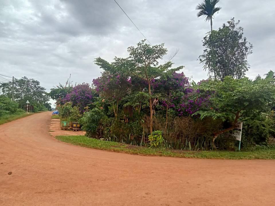 Nhà 2 mặt tiền đường Y Thuyen, Buôn Ma Thuột, 150m² - Giá chỉ 1 tỷ!