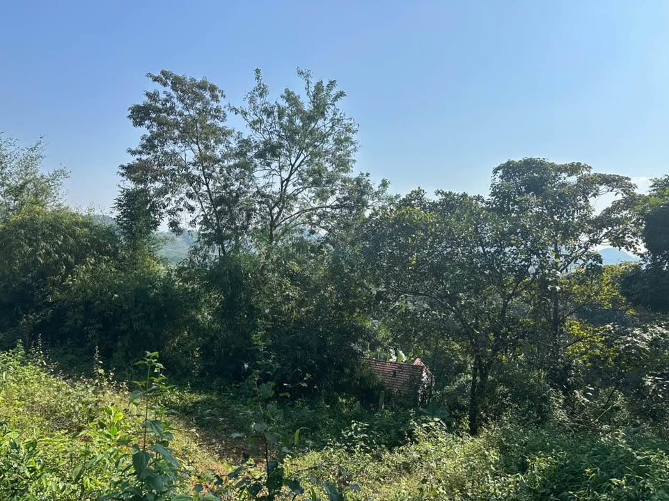 Đất nghỉ dưỡng 3000m² Thạch Thất giá 1.5 tỷ - Tiềm năng sinh lời cao!