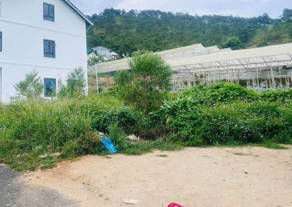 Đất xây dựng Thái Phiên Đà Lạt 100m² giá 3 tỷ - Sổ đỏ chính chủ