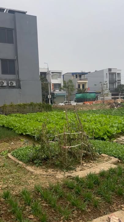 Đất chính chủ Túc Duyên 100m² giá 3.6 tỷ - Cơ hội đầu tư tuyệt vời!