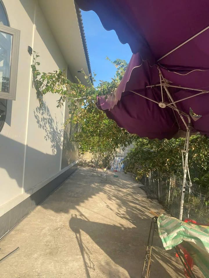 Đất vườn 600m² tại Thị Trấn Thủ Thừa, Long An - Giá chỉ 3.95 tỷ, Không gian sống lý tưởng!