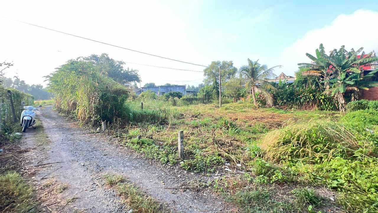 Đất thổ cư 105m² chính chủ tại Gò Dầu, Tây Ninh chỉ 399 triệu - Đầu tư sinh lời!