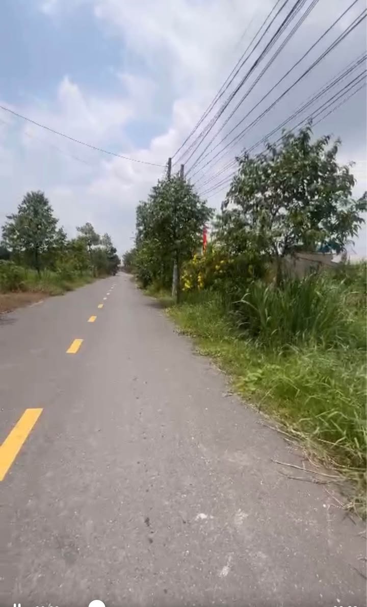 Đất thổ cư 165m² mặt tiền đường nhựa 10m tại Mỹ Hạnh Bắc - Giá chỉ 1.85 tỷ!