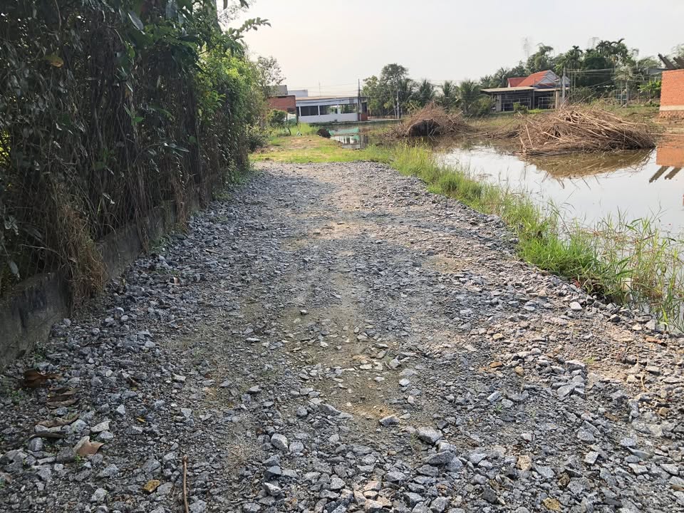 Đất thổ cư 105m² tại xã Mỹ Hạnh, Đức Hòa - Giá chỉ 800 triệu!