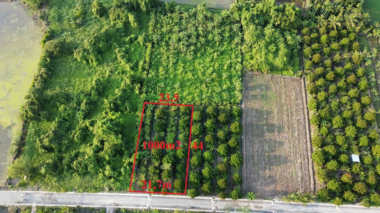 Đất vườn Củ Chi 1000m² giá tốt - Kinh doanh thuận lợi!