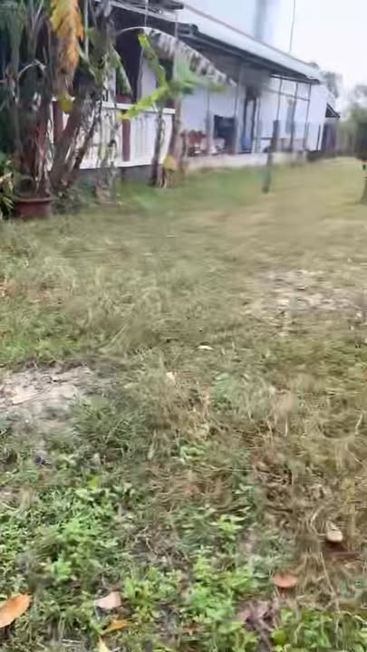 Đất nền Thăng Bình 140m² giá 1.6 tỷ - Đường rộng 7.5m, vị trí đắc địa!