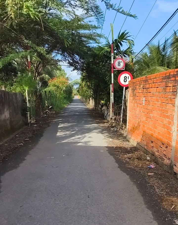 Đất nền đường nhựa 256, Long Đức, Trà Vinh 132m² giá 650 triệu - Cách đường 30/4 chỉ 150m!