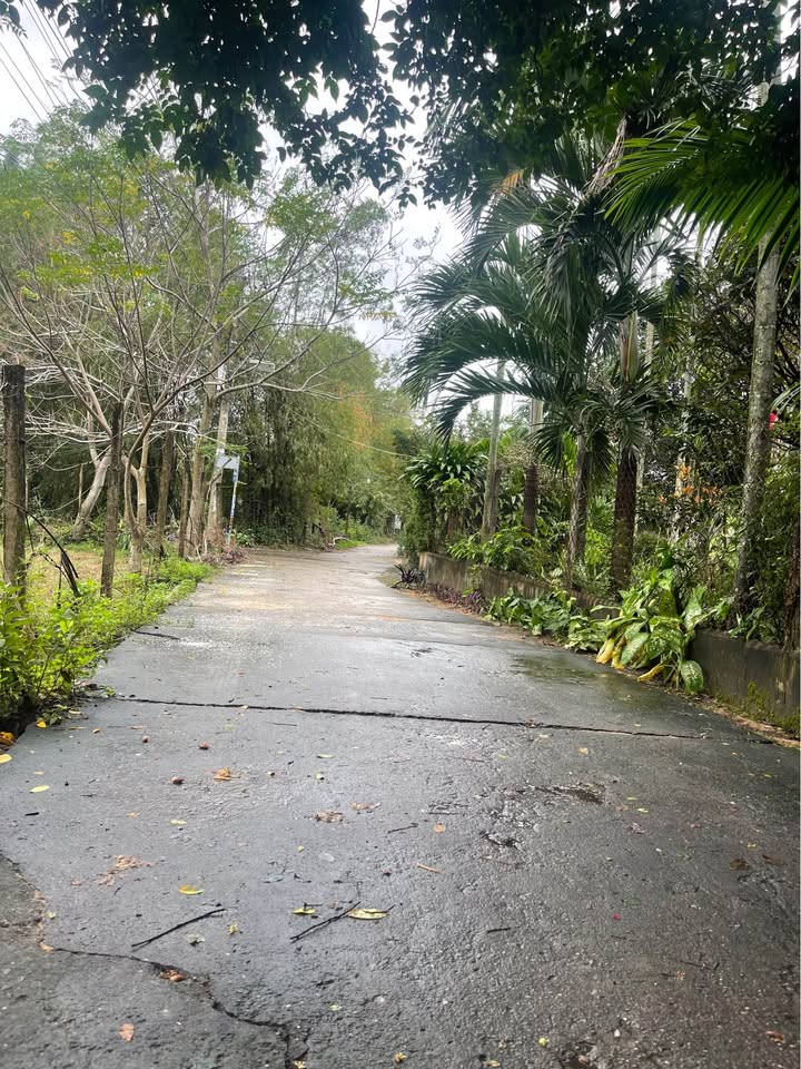 Đất nền Hà Tây 1, Điện Bàn 90m² giá 800 triệu - Đầu tư sinh lời hấp dẫn!