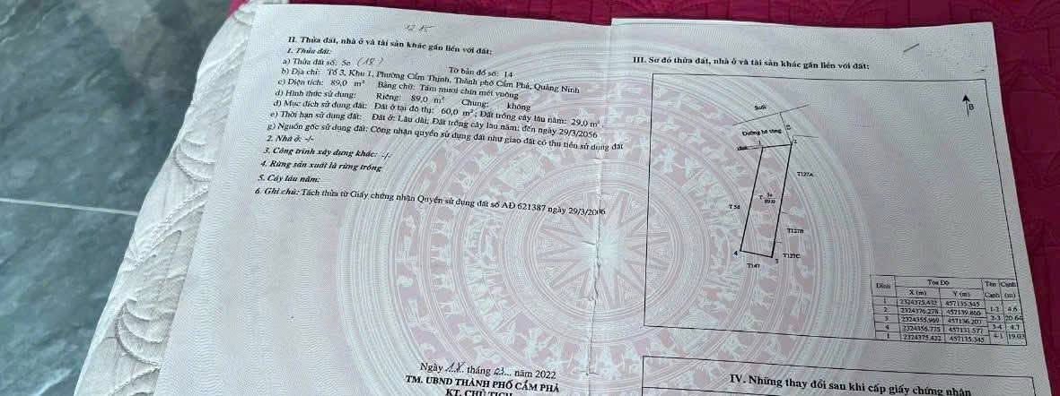 Đất Cẩm Thịnh 89m² giá 900 triệu - Đối diện nhà hàng Trường Nguyệt, đầu tư lý tưởng!