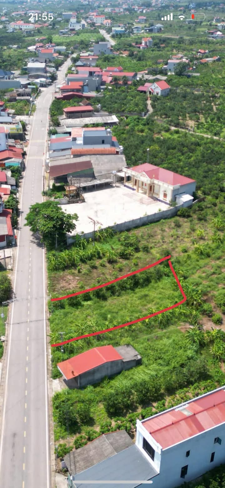 Đất nền Phượng Sơn Bắc Giang 117m² - Vị trí đắc địa, giá thỏa thuận!