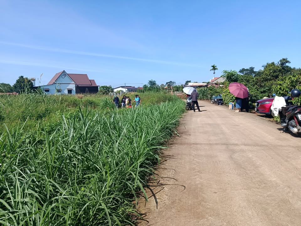 Đất nền Tân Hội, Đức Trọng 144m² giá 590 triệu - Cơ hội đầu tư tuyệt vời!