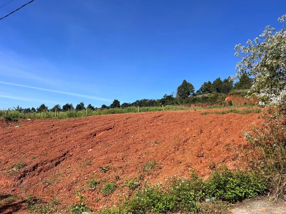 Đất thổ cư Nam Ban Lâm Hà 1200m² giá 2.2 tỷ - View cực thoáng, pháp lý rõ ràng!