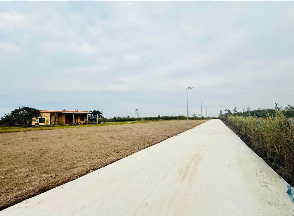 Đất thổ cư Thôn 7 Lý Trạch 126m² giá 300 triệu - Đầu tư sinh lời ngay!