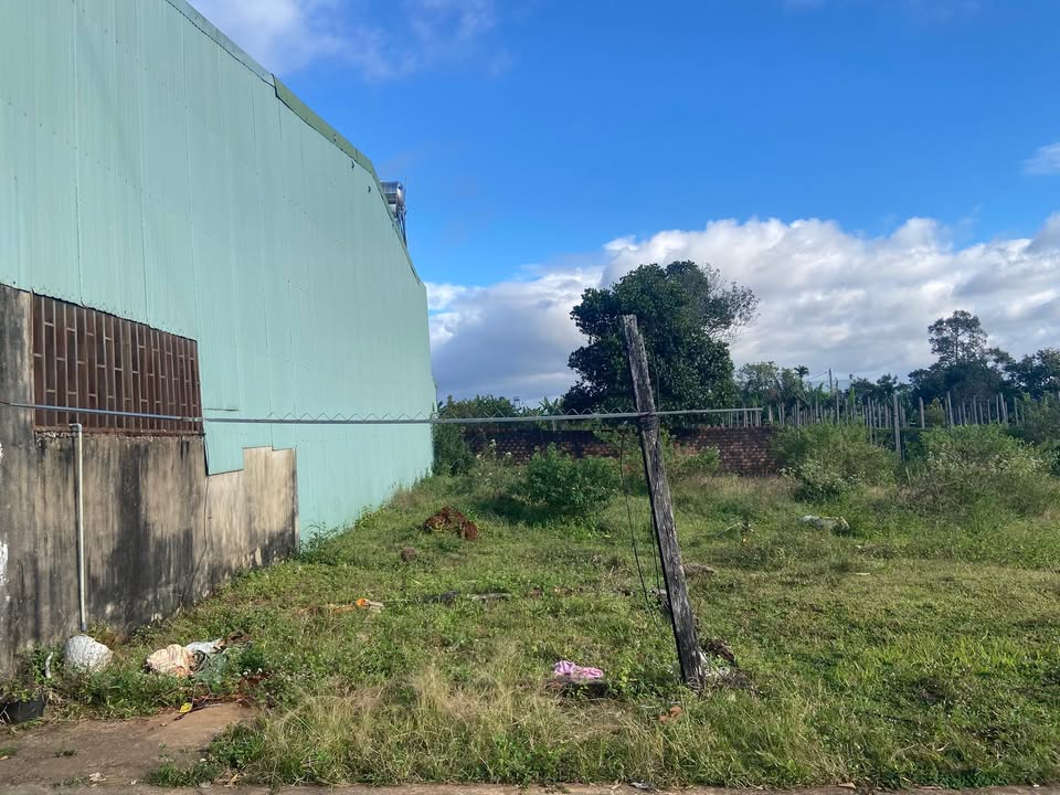 Đất nền hẻm 01 Lê Văn Hưu 122.5m² giá chỉ 700 triệu - Đầu tư sinh lời ngay!