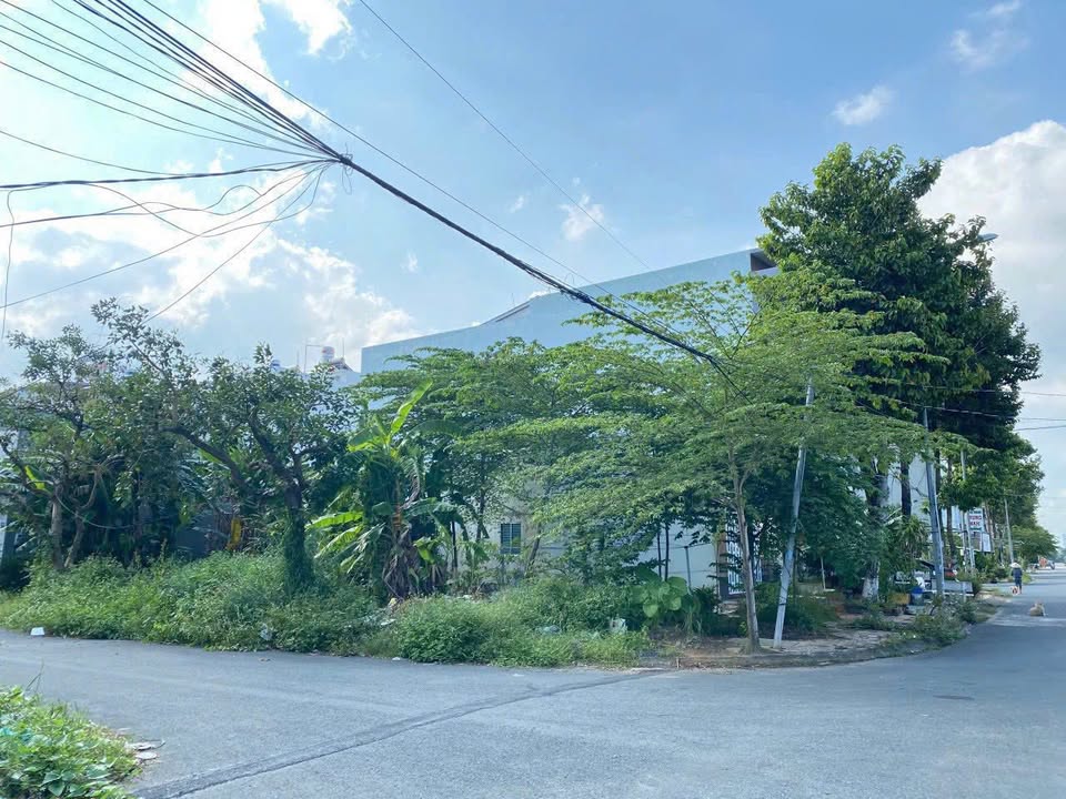 Đất nền Khu dân cư Hưng Phú 1, Cần Thơ - Diện tích 201.3m² giá 15.5 tỷ - Đầu tư sinh lời!