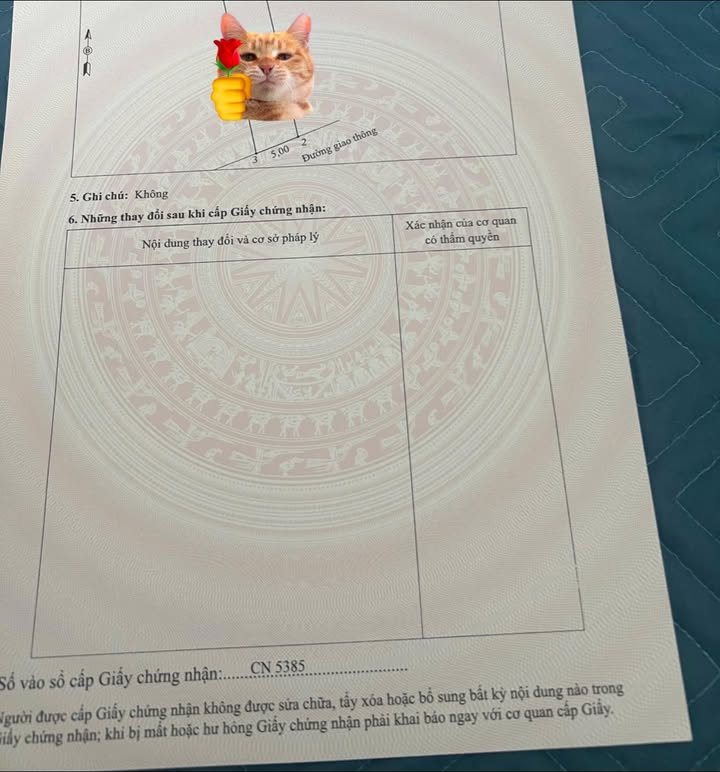 Đất nền đường Cù Chính Lan, Vân Phú 98m² giá 3 tỷ - Khu vực kinh doanh sầm uất!