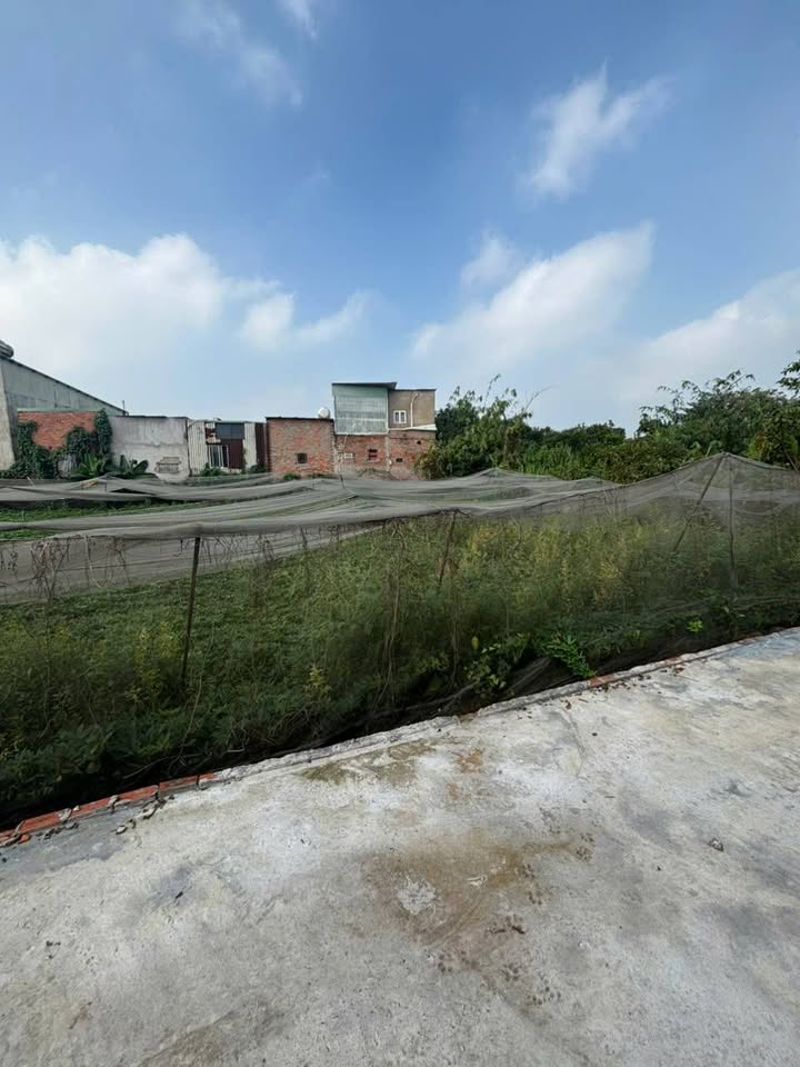 Đất 150m² đường Bùi Công Trừng, Hóc Môn chỉ 3 tỷ - Sổ hồng chính chủ!