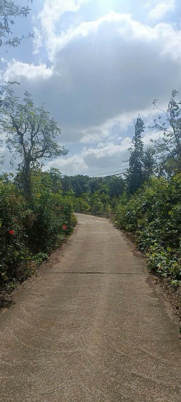 Đất thích hợp đầu tư tại xã Hòa Xuân 1382m² - Sổ đỏ chính chủ, giá tốt!