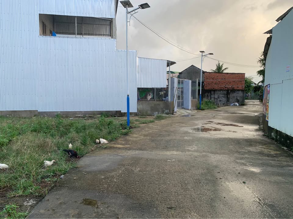 Đất nền Nghĩa Hành 250m² giá 300 triệu - Cơ hội đầu tư hấp dẫn!