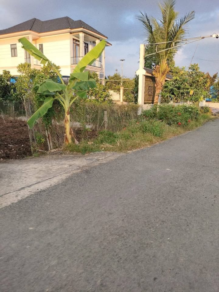 Đất thổ cư Đông Thành, Vĩnh Long 117.5m² giá 489 triệu - Cơ hội đầu tư hấp dẫn!