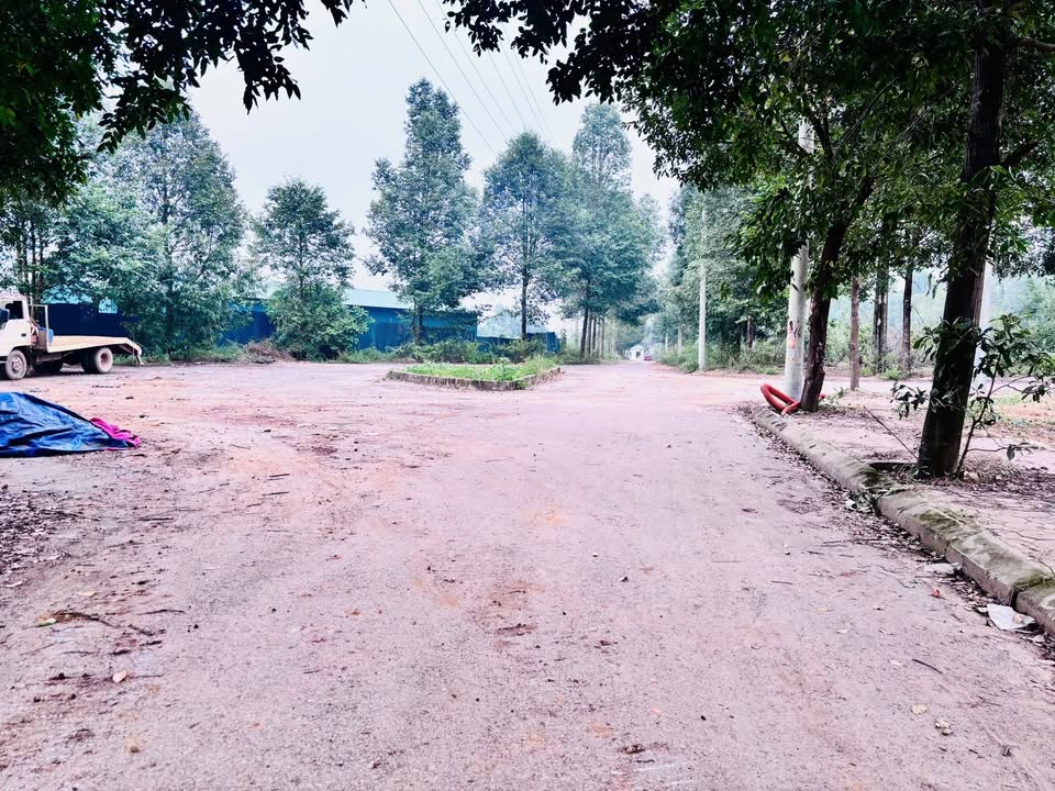 Đất nền tái định cư Thạch Hòa 66.8m² giá thỏa thuận - Cơ hội đầu tư hấp dẫn!